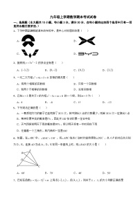 广东省广州市南沙区2025年九年级上学期数学期末考试试卷附答案