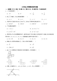 广东省梅州市2025年九年级上学期期末数学试题附答案