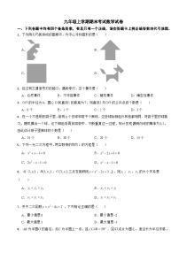 湖北省武汉市硚口区2025年九年级上学期期末考试数学试卷附答案