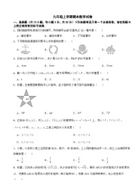 湖北省武汉市青山区2025年九年级上学期期末数学试卷附答案