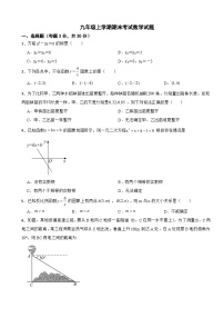 湖南省岳阳市平江县2025年九年级上学期期末考试数学试题附答案