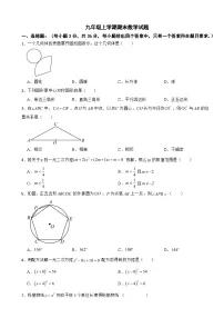 四川省绵阳市梓潼县2025年九年级上学期期末数学试题附答案