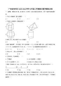 广东省东莞市2025-2026学年七年级上学期期末数学模拟试卷-自定义类型