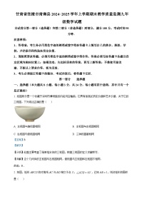 甘肃省张掖市肃南县2024—2025学年上学期期末教学质量监测九年级数学试题（解析版）-A4