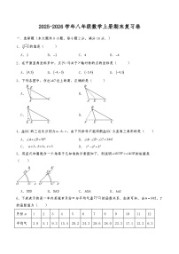 2025-2026学年苏科版数学八年级上册期末复习卷