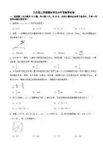 浙江省绍兴市越城区2025年九年级上学期期末学业水平考数学试卷附答案