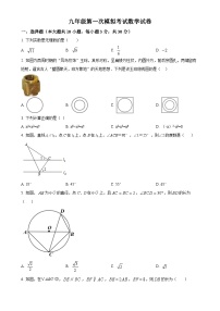 2025年甘肃省武威市凉州区武威第八中学中考一模数学试题（原卷版）-A4