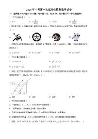 2025年甘肃省酒泉市九年级中考一模数学试卷（原卷版）-A4