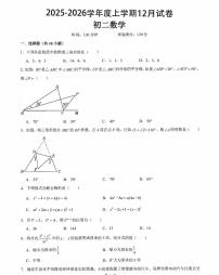 新疆乌鲁木齐部分学校2025-2026学年上学期八年级数学12月月考试卷