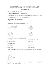 2024-2025学年河北省邯郸市丛台区八年级上学期期末数学试卷（学生版）