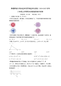 2024-2025学年新疆维吾尔自治区阿克苏地区阿瓦提县八年级上学期期末质量监测数学试卷（学生版）