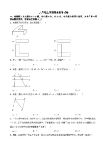四川省成都市锦江区2025年九年级上学期期末数学试卷附答案