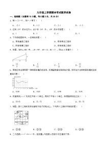 浙江省丽水市2025年九年级上学期期末考试数学试卷附答案