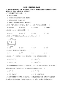 浙江省绍兴市新昌县2025年九年级上学期期末数学试题附答案