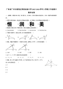 广东省广州市番禺区恒润实验中学2025-2026学年上学期八年级期中数学试卷-自定义类型