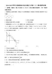 精品解析：江西省新余市仙女湖区2024-2025学年九年级上学期期末数学试卷+答案