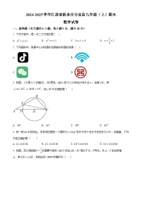 精品解析：江西省新余市分宜县2024-2025学年九年级上学期期末数学试题+答案