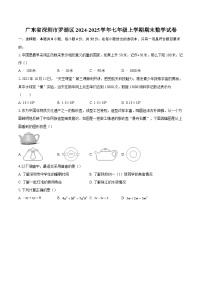 广东省深圳市罗湖区2024-2025学年七年级上学期期末数学试卷-自定义类型