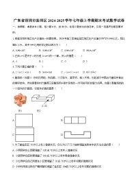 广东省深圳市盐田区2024-2025学年七年级上学期期末考试数学试卷-自定义类型