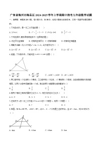 广东省梅州市梅县区2024-2025学年上学期期中统考九年级数学试题-自定义类型