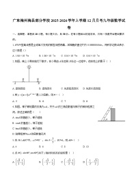 广东梅州梅县部分学校2025-2026学年上学期12月月考九年级数学试卷-自定义类型