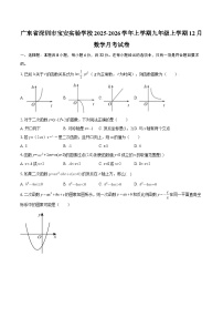 广东省深圳市宝安实验学校2025-2026学年上学期九年级上学期12月数学月考试卷-自定义类型