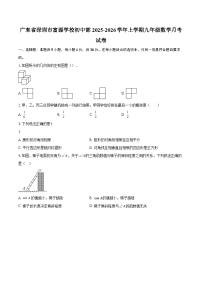 广东省深圳市富源学校初中部2025-2026学年上学期九年级数学月考试卷-自定义类型