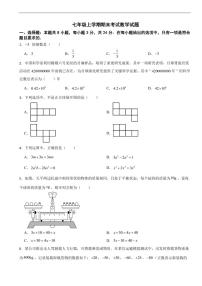 广东省深圳市2025年七年级上学期期末考试数学试题四套及答案