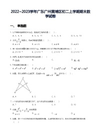 2022~2023学年广东广州黄埔区八年级上学期期末数学试卷（含答案）