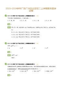广东省广州白云区2023-2024学年八年级上学期期末数学试卷（含答案）