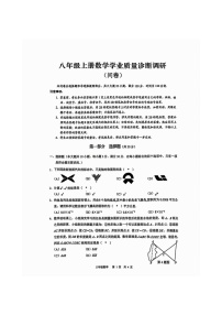 广东省广州白云区2024-2025学年八年级上学期期末数学试卷（含答案）