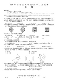 湖北省G20+2025-2026学年九年级上学期12月联考数学试题（附答案）