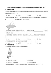 2025-2026学年浙教版数学八年级上册期末常考题型分类专项特训（一）