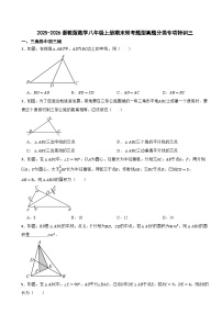 2025-2026浙教版数学八年级上册期末常考题型真题分类专项特训三