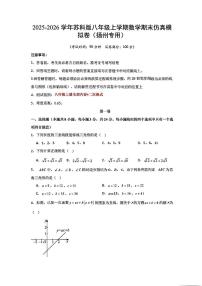 2025-2026学年扬州市八年级上学期期末数学模拟试题及答案