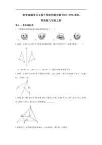 2025-2026学年青岛版八年级数学上册期末高频考点专练：图形的轴对称