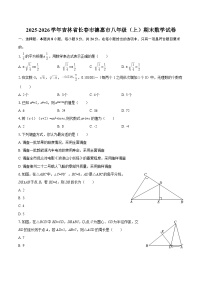2025-2026学年吉林省长春市德惠市八年级（上）期末数学试卷-自定义类型