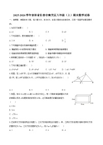 2025-2026学年吉林省长春市南关区八年级（上）期末数学试卷-自定义类型