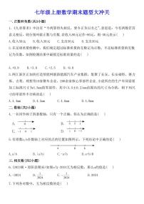 2024版人教版七年级上册数学期末题型专项练习含答案