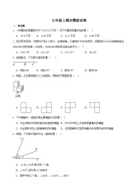 北师大版七年级上数学期末复习试卷含答案3