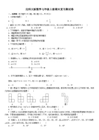 北师大版七年级上数学期末复习试卷含答案2