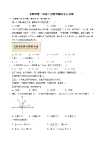 北师大版七年级上数学期末复习试卷含答案1