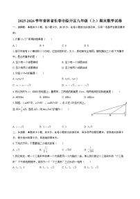 2025-2026学年吉林省长春市经开区九年级（上）期末数学试卷-自定义类型