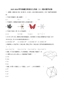 2025-2026学年西藏日喀则市九年级（上）期末数学试卷-自定义类型