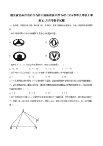 湖北省宜昌市当阳市当阳市实验初级中学2025-2026学年九年级上学期12月月考数学试题-自定义类型