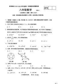 辽宁省大连市金普新区2025-2026学年八年级上学期期末数学试卷