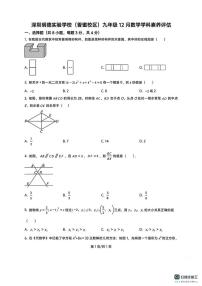广东省深圳明德实验学校（集团）2025-2026学年上学期12月月考九年级数学试题