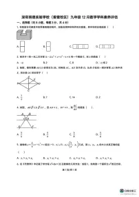 广东省深圳明德实验学校（集团）2025-2026学年上学期12月月考九年级数学试题