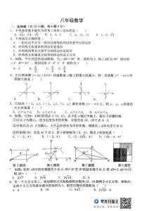 河南省信阳市浉河中学2024-2025学年八年级下学期5月月考数学试卷