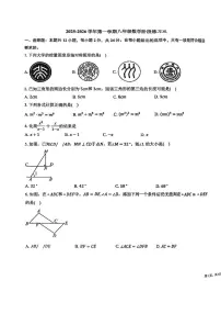 天津市第六十一中学2025-2026学年八年级上学期 第二次月考数学试卷